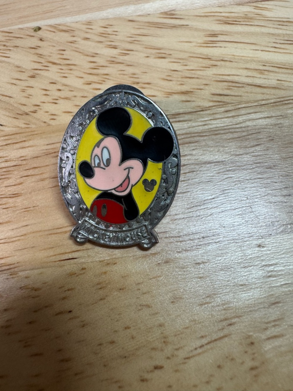 2011 Hidden Mickey Disney Pin